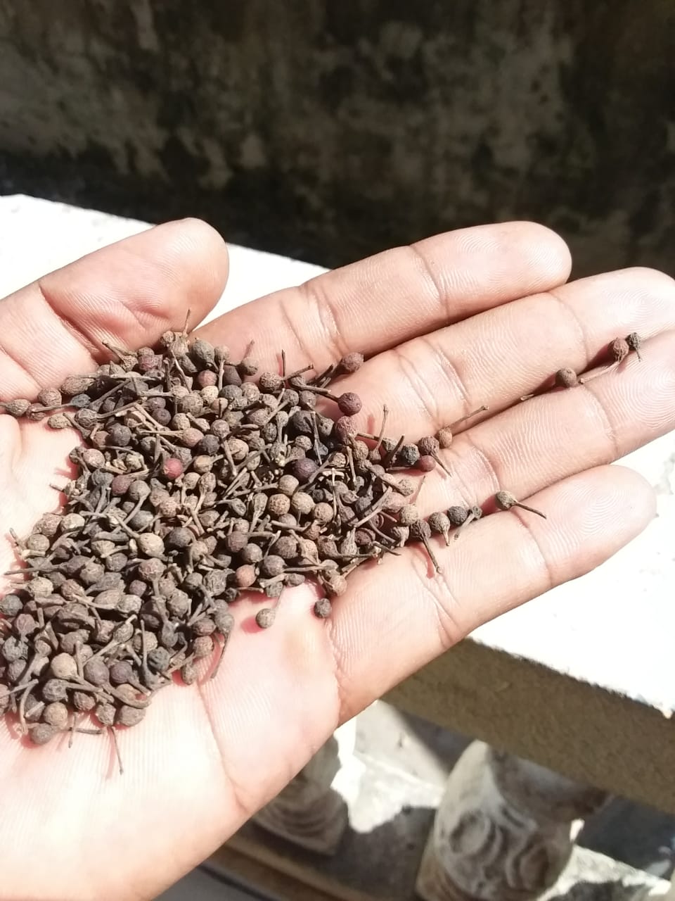 Le Poivre Précieux de Madagascar